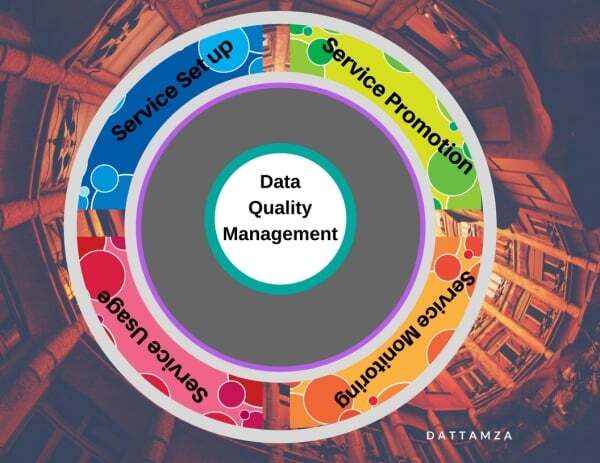 Data quality manage